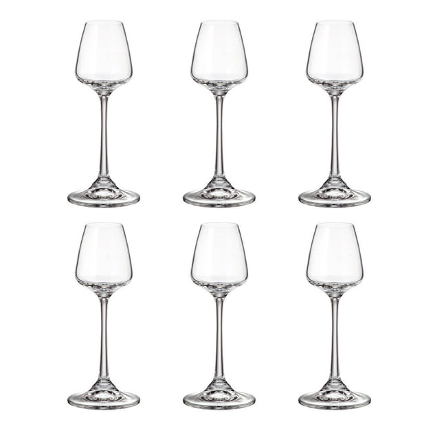 Crystal Bohemia Coruvs Collection Set of 6 60 ml Liqueur Glasses