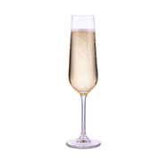 Crystal Bohemia Strix Collection Set of 6 200 ml Champagne Flutes